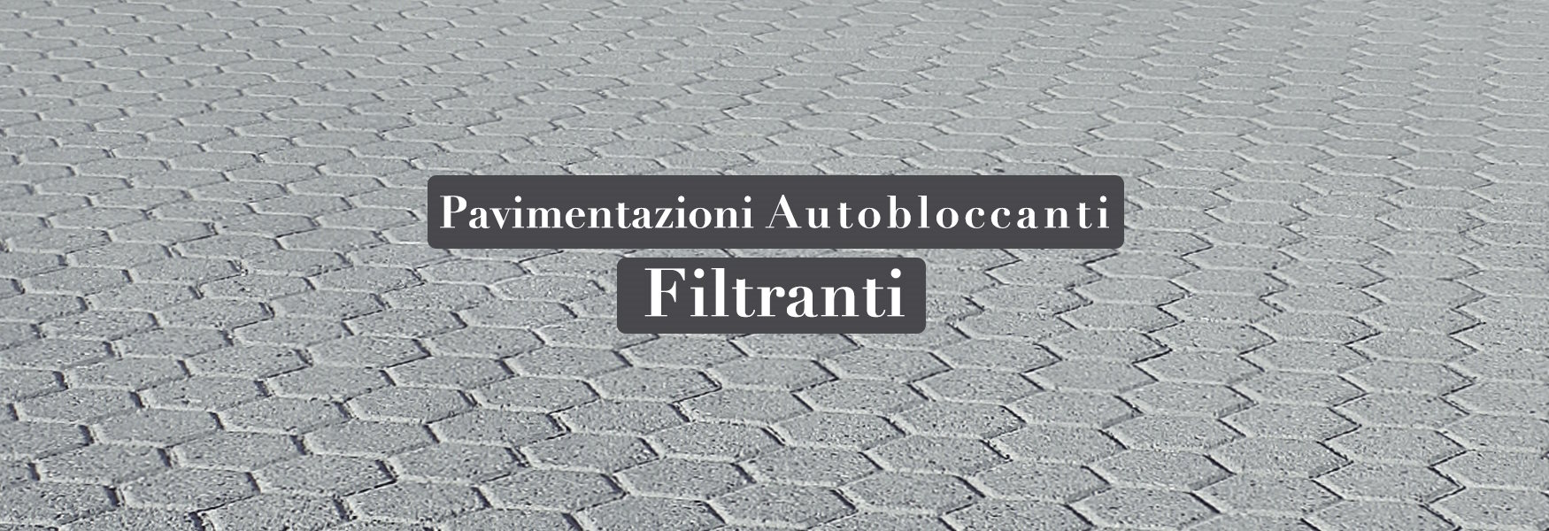 Filtranti